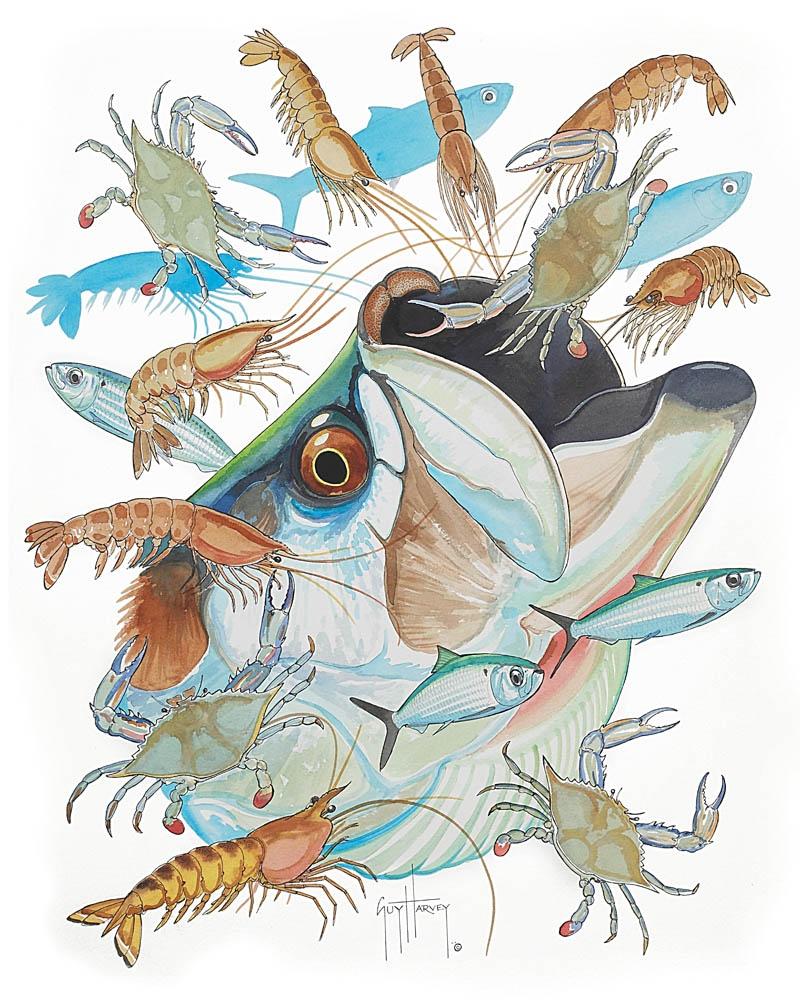 "Tarpon Head" Original