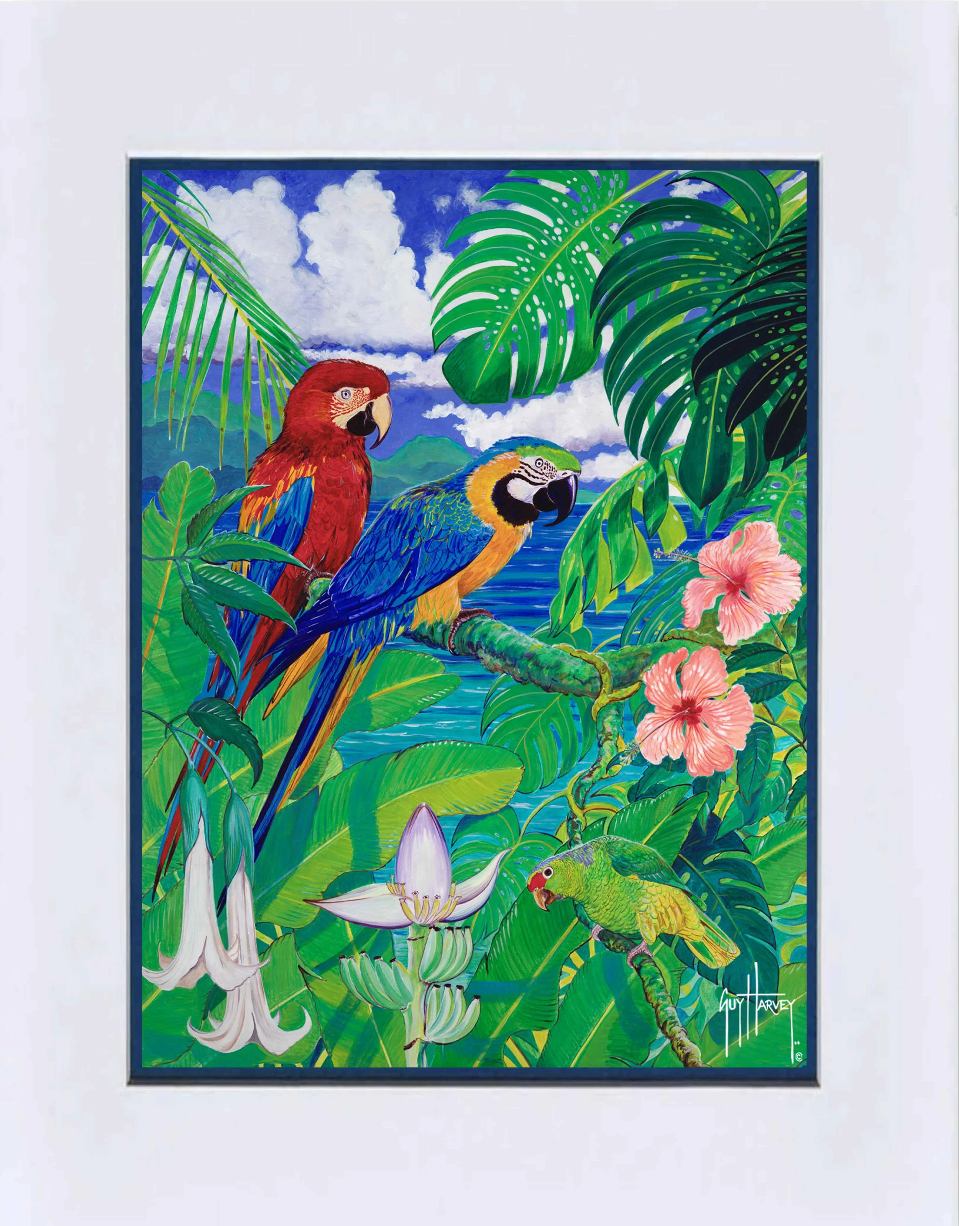 "Tropical Parrots" Grande Mini Print - Image 2