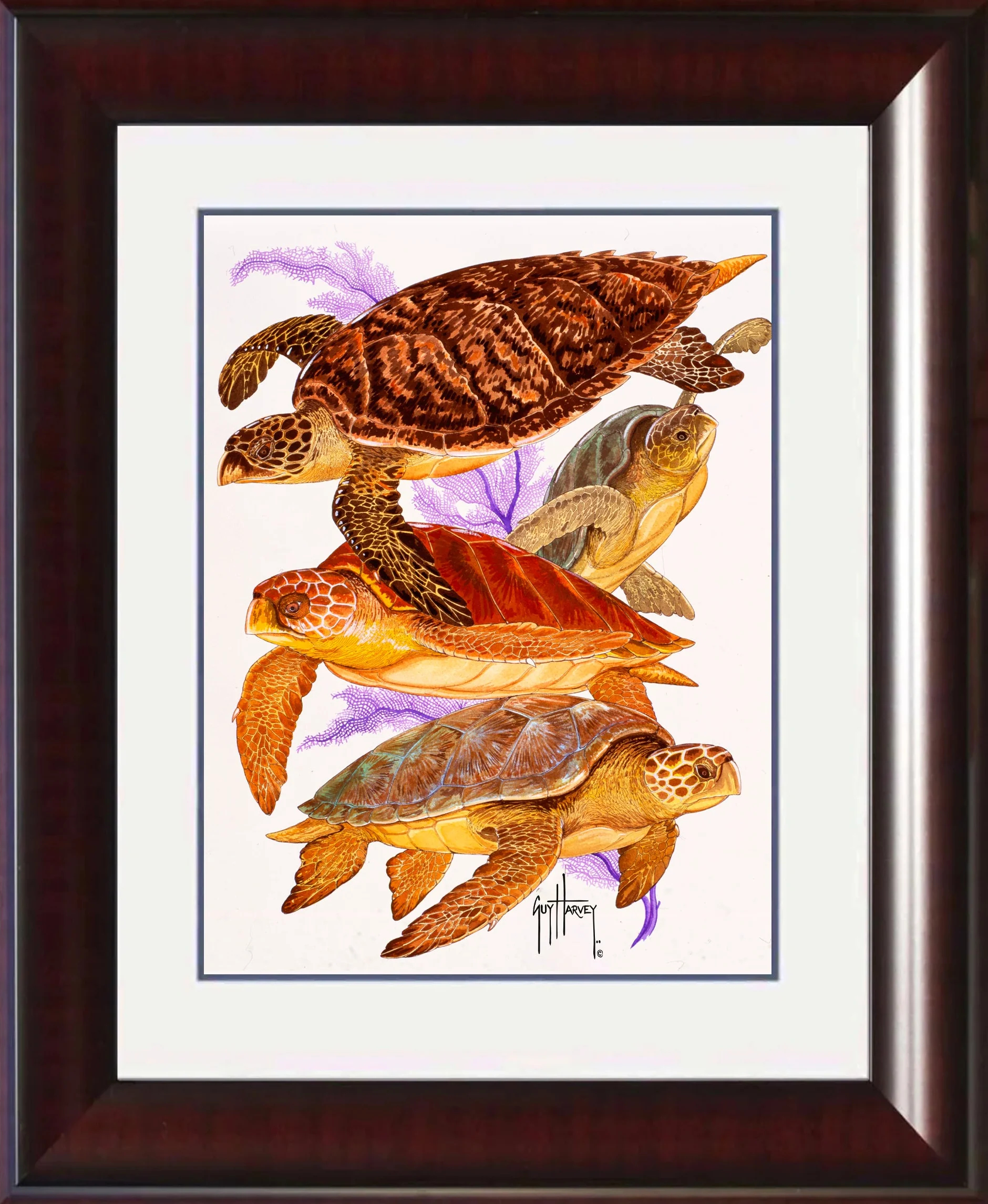 "Turtle Collage" Mini Print