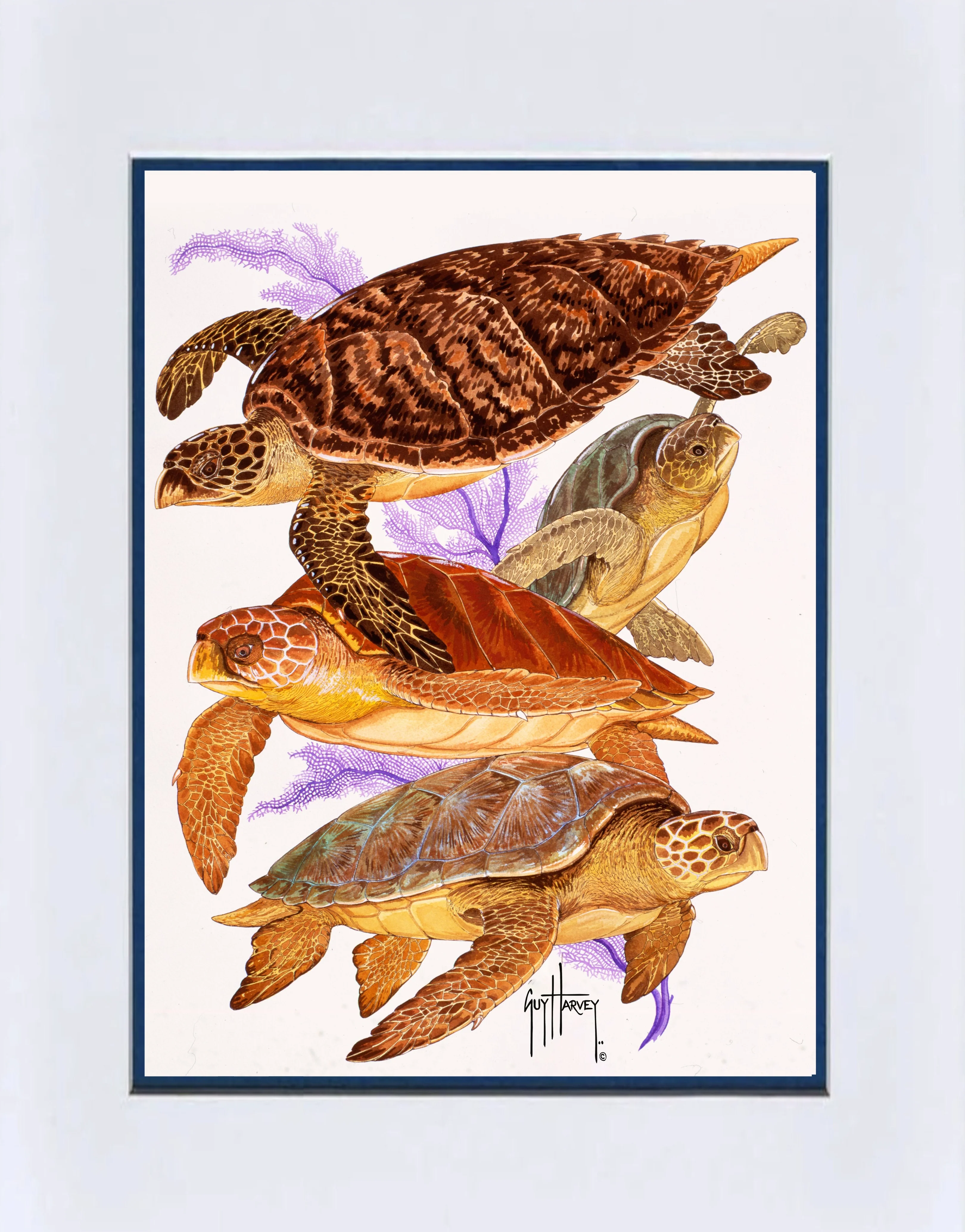 "Turtle Collage" Mini Print - Image 2