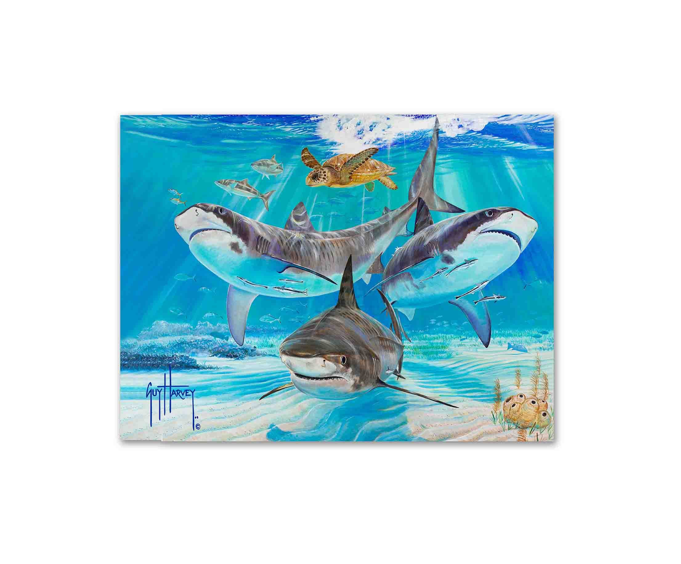 "Turtle Soup" Limited Edition Print - Image 2