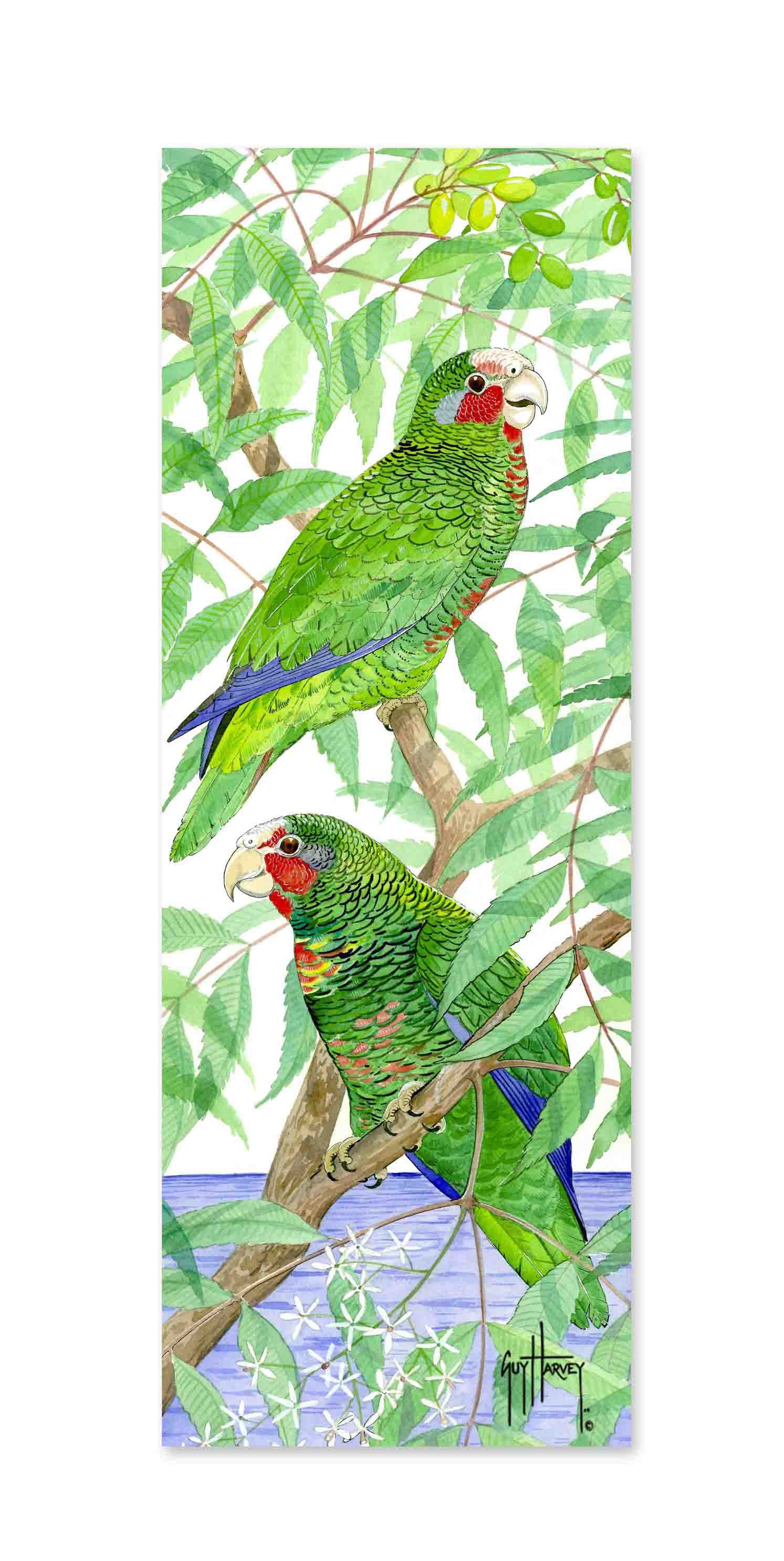 "Two Parrots" Limited Edition Print - Image 2