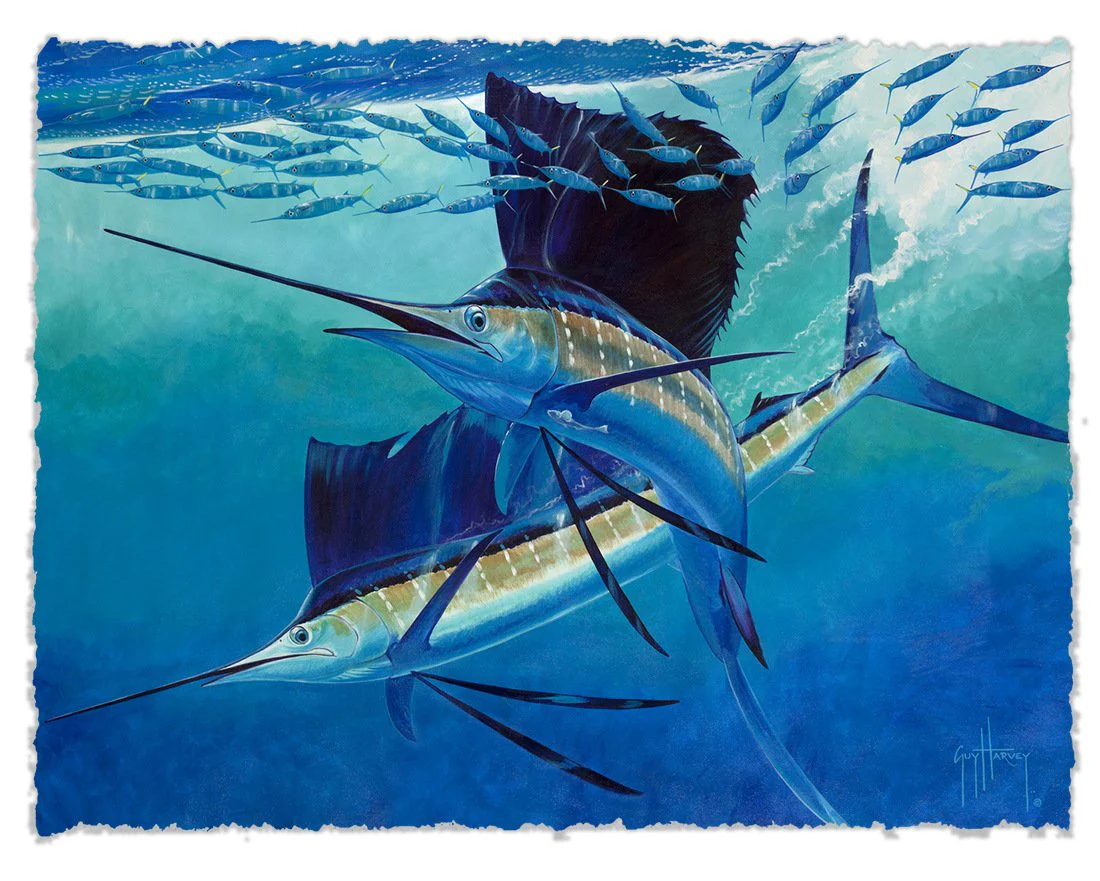 "Vela Tango" Original