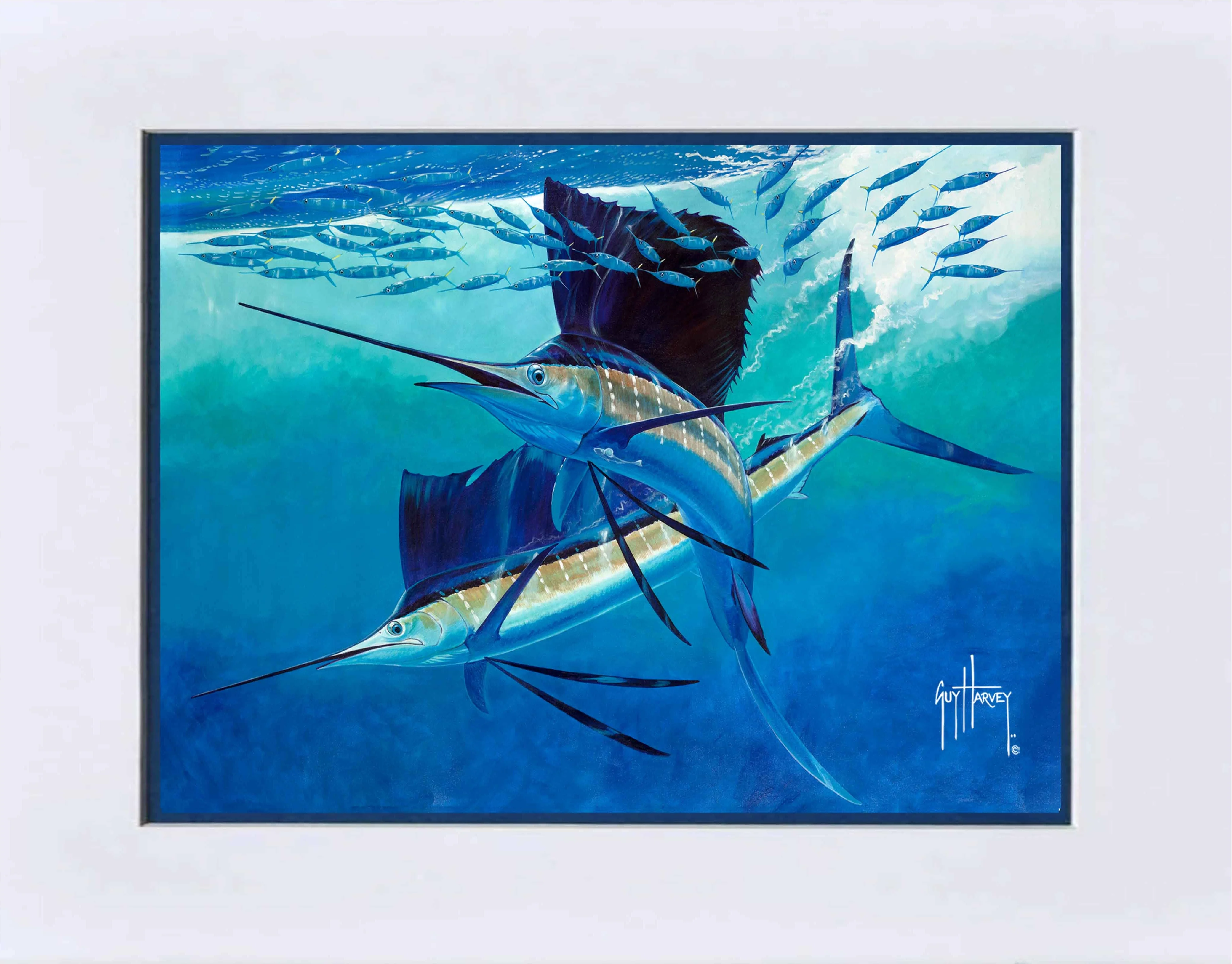 "Vela Tango" Grande Mini Print - Image 2