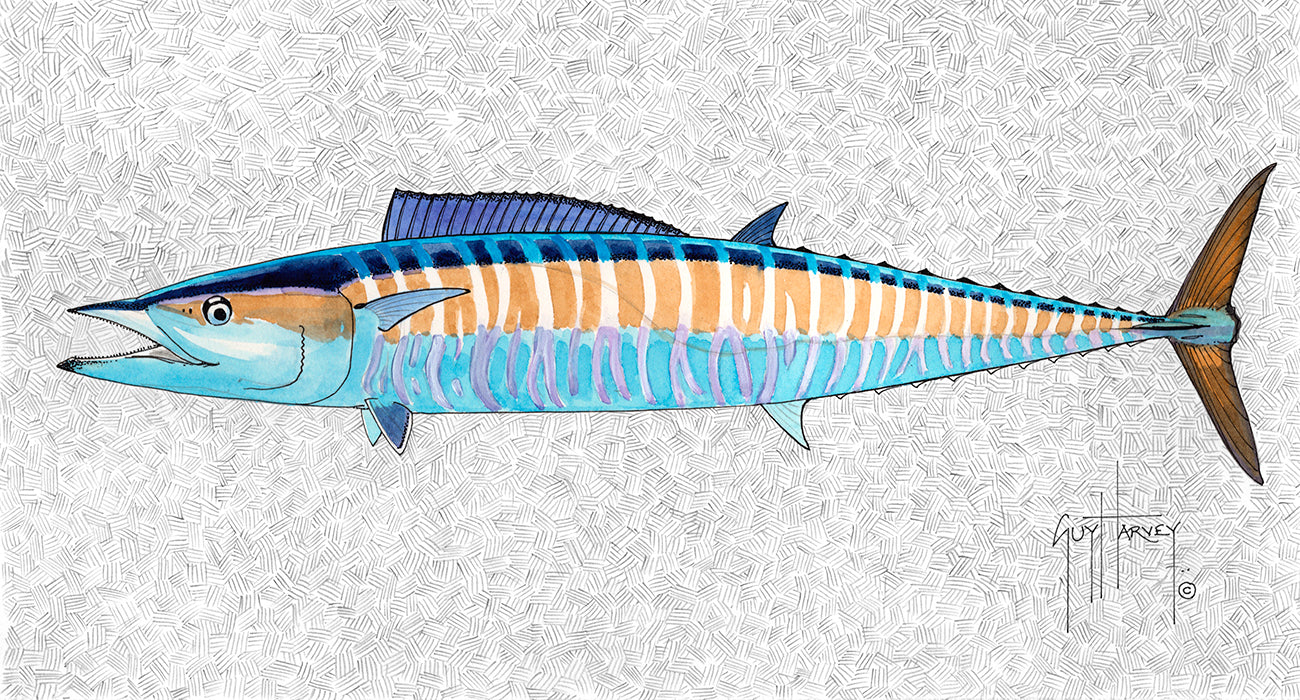"Wahoo Portrait" Original