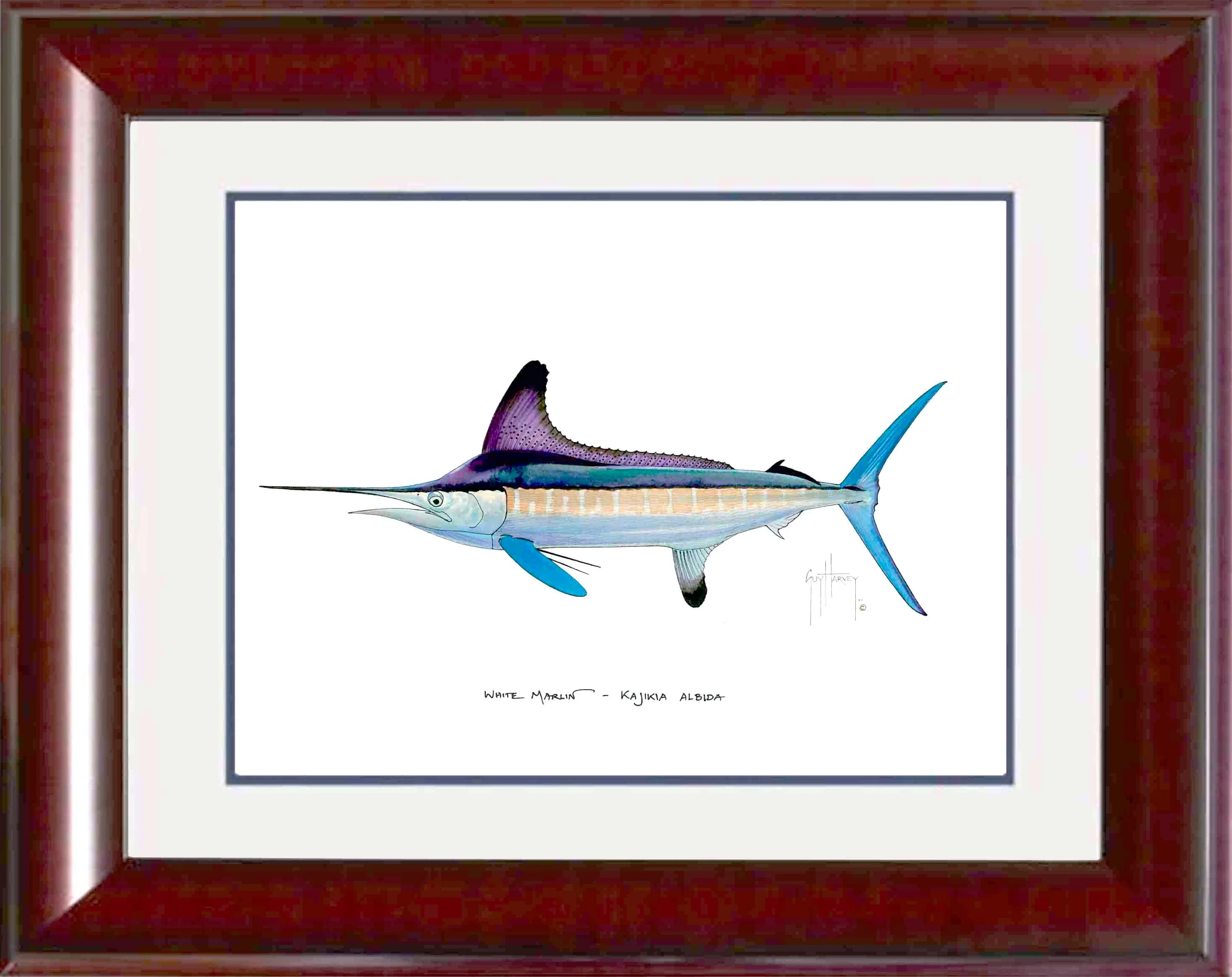 "White Marlin" Grande Mini Print
